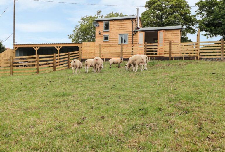 Shepherds Cabin at Titterstone Thumbnail Image