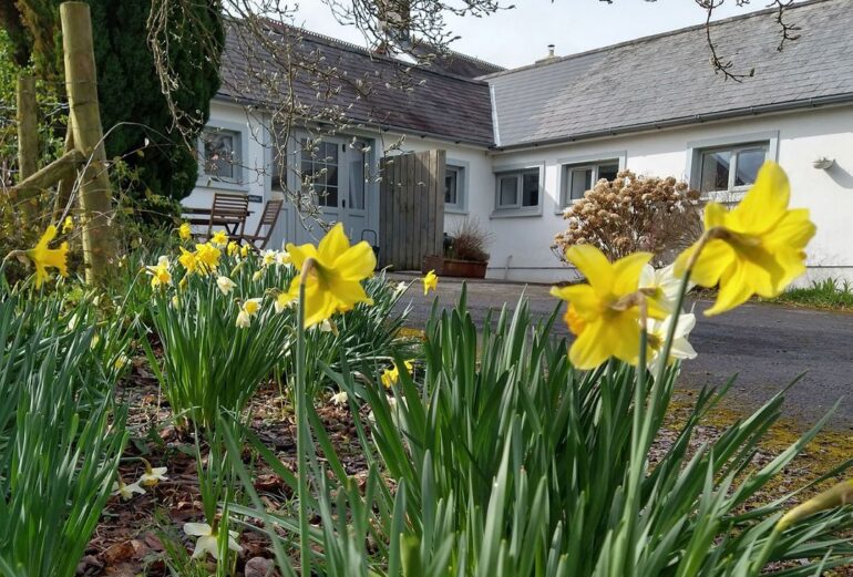 Dinefwr Cottage Thumbnail Image